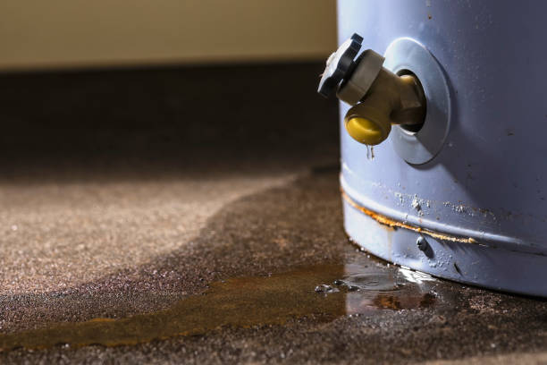 Best Water damage restoration near me  in Bartlett, TX