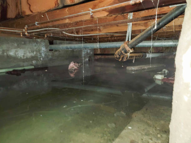 Best Flood damage cleanup  in Bartlett, TX