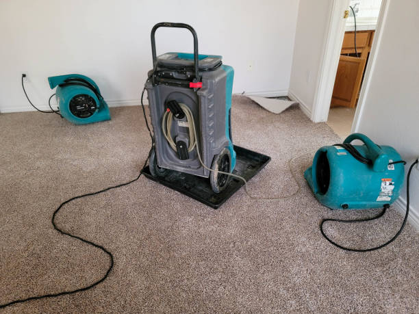 Best Local water damage restoration  in Bartlett, TX