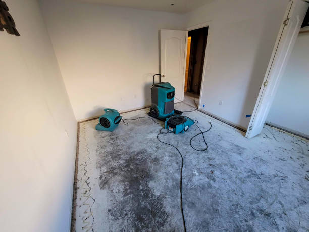 Best Water damage restoration near me  in Bartlett, TX