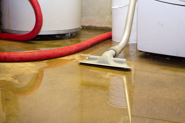 Best Mold removal after water damage  in Bartlett, TX