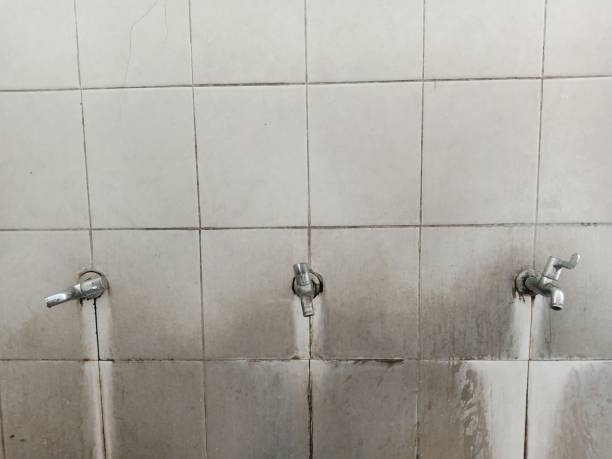 Carpet water damage restoration in Bartlett, TX
