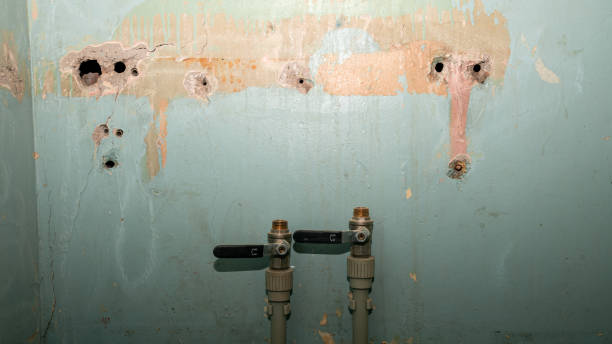Best Professional water damage repair  in Bartlett, TX