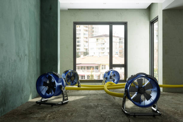 Best Mold removal after water damage  in Bartlett, TX
